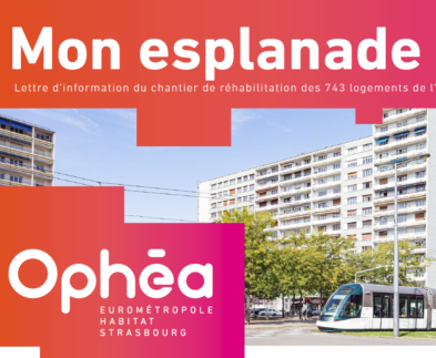 Lettre d'information 